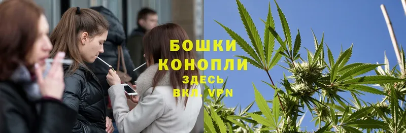 Конопля Ganja  цены   Верещагино 